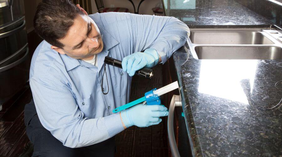Professional pest control services in Port Melbourne